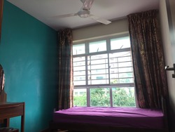 Blk 113A Mcnair Road (Kallang/Whampoa), HDB 4 Rooms #170785322